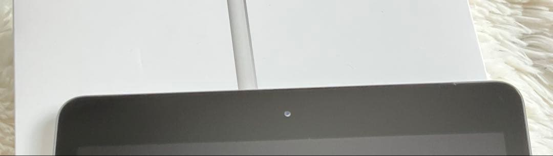 【早い者勝ち】iPad 第7世代 32GB SIMフリー【すぐ発送】【付属品】