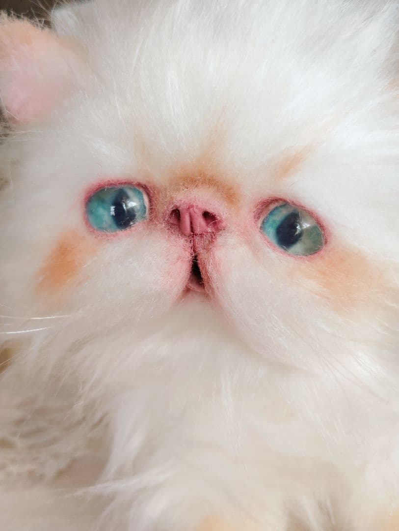 エキゾチックロングヘア子猫♡ちょっぴりお姉ちゃん♡アートドール♡ぬいぐるみ♡