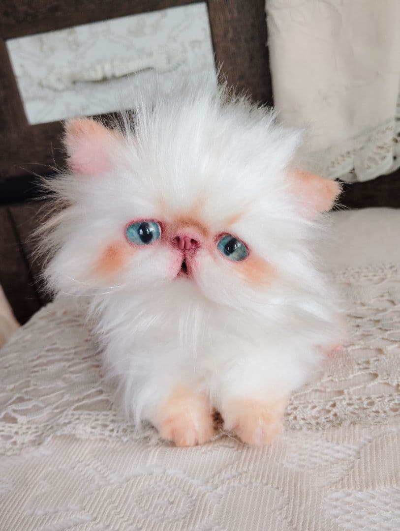 エキゾチックロングヘア子猫♡ちょっぴりお姉ちゃん♡アートドール♡ぬいぐるみ♡