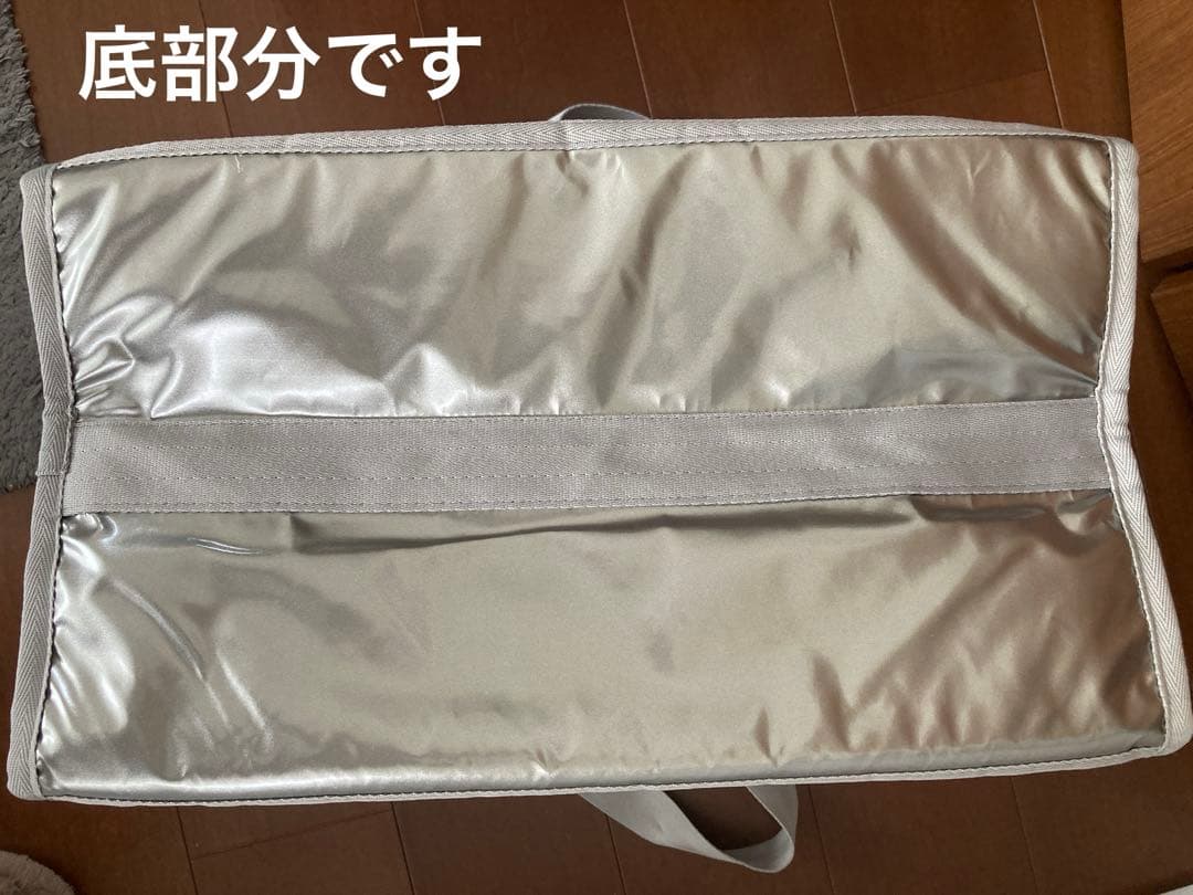 【新品未使用】LeSportsac ×ひとりっぷCABIN BOSTON2