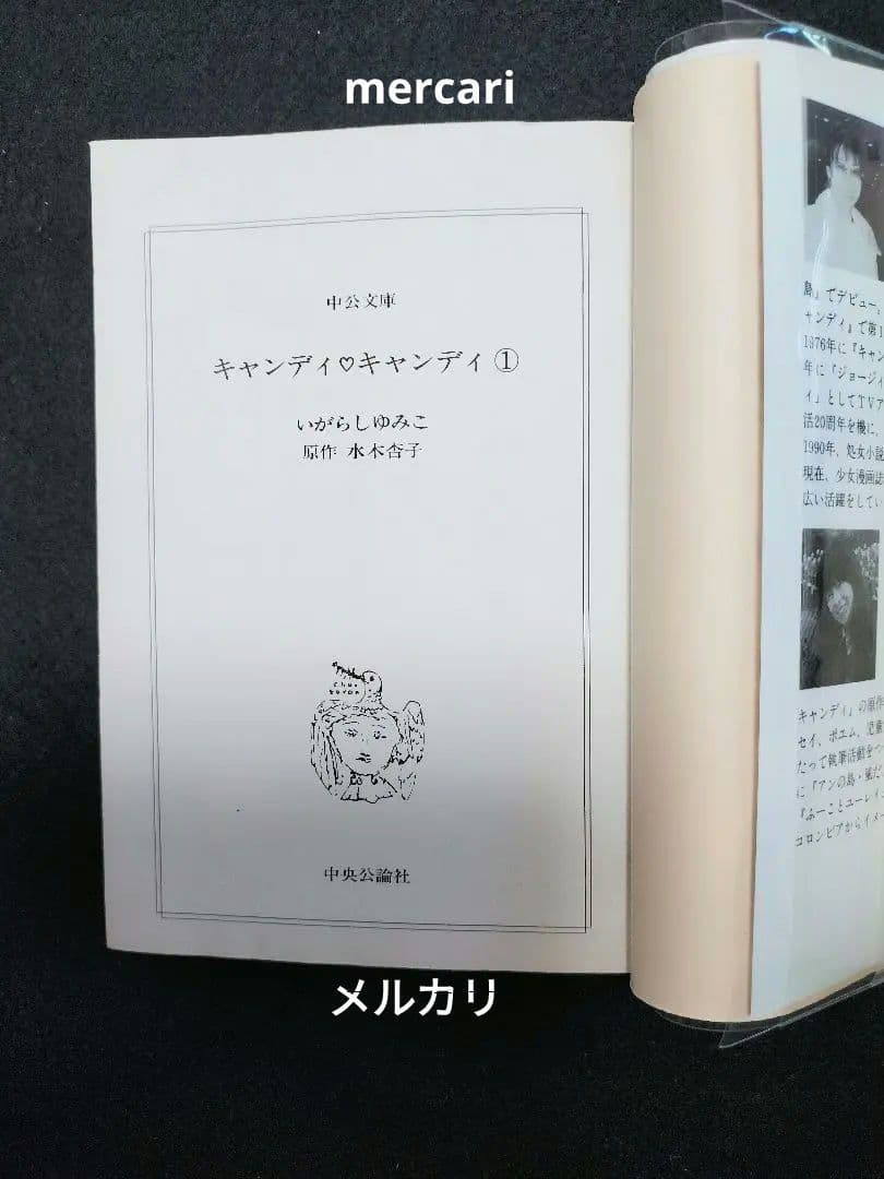 ■クリアブックカバー付き「キャンディ・キャンディ」文庫版●全巻セット