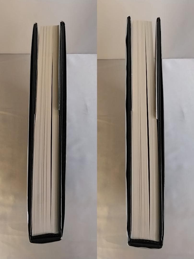 ✨絶版本✨洋書『ルネ・ラリック 珠玉のジュエリー 1890-1912』