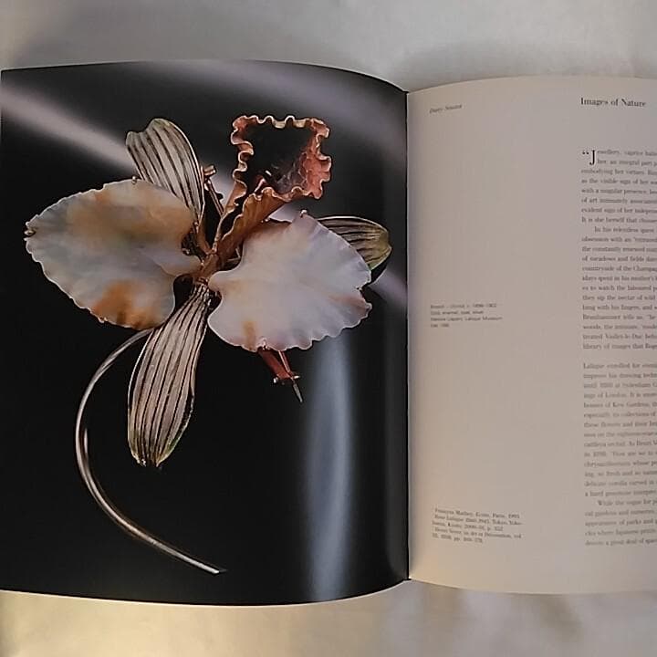 ✨絶版本✨洋書『ルネ・ラリック 珠玉のジュエリー 1890-1912』