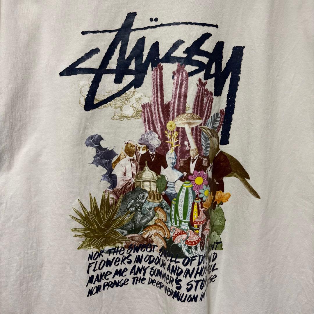 ステューシー stussy バックプリント Tシャツ