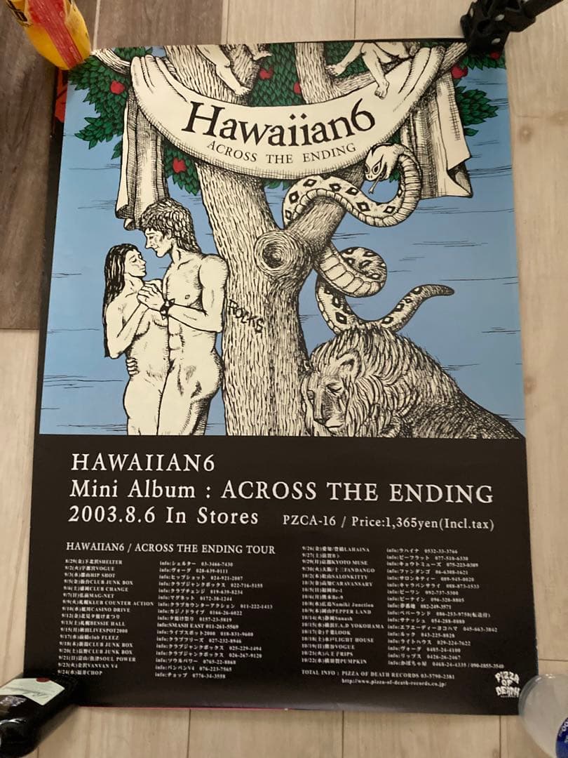ポスター まとめ売り 9枚 HAWAIIAN6 MASTERLOW 他