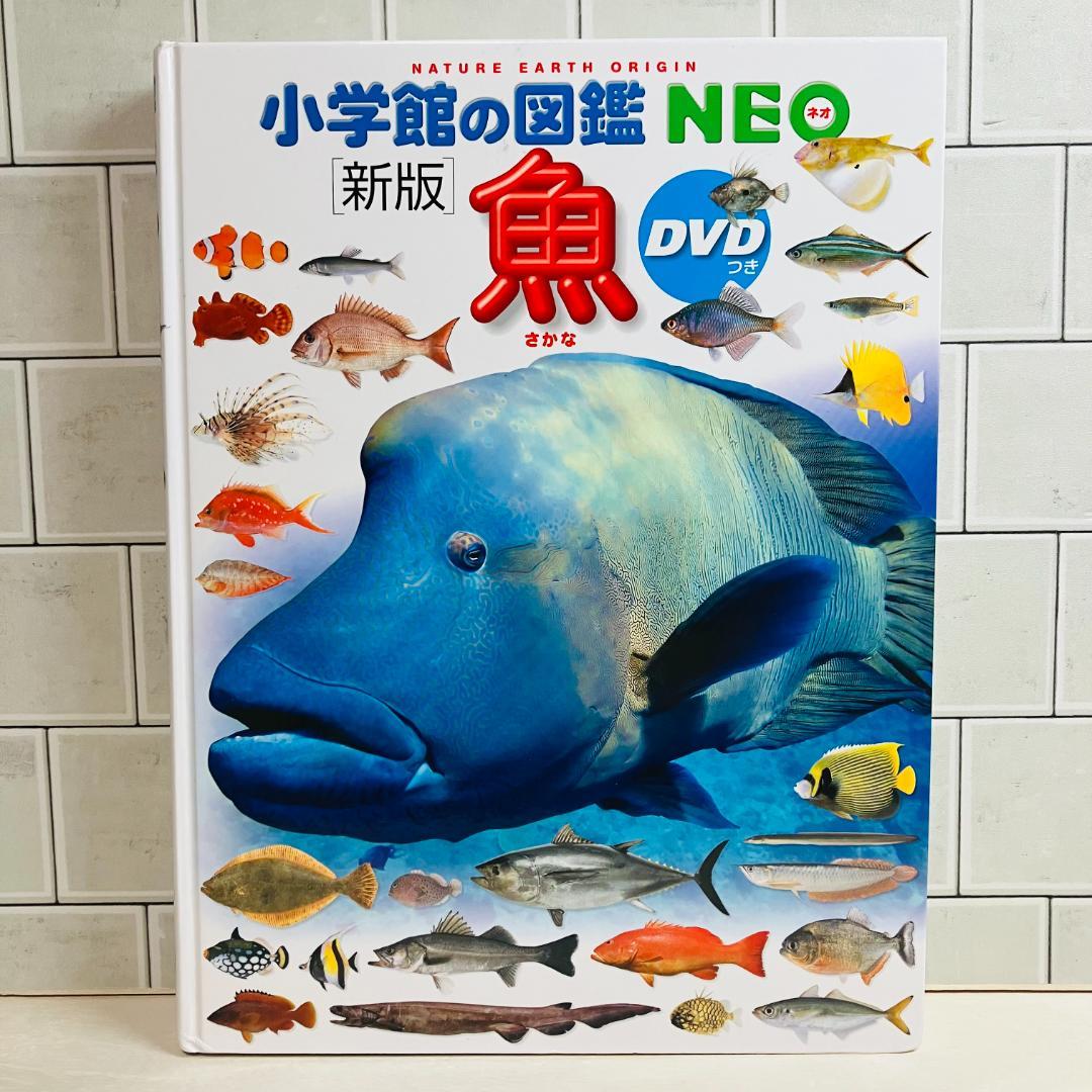 【定番の図鑑】小学館の図鑑NEO 10冊セット