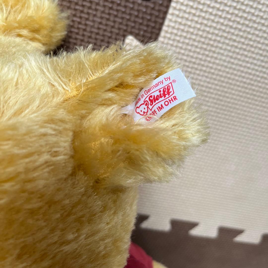 コスモス❣️