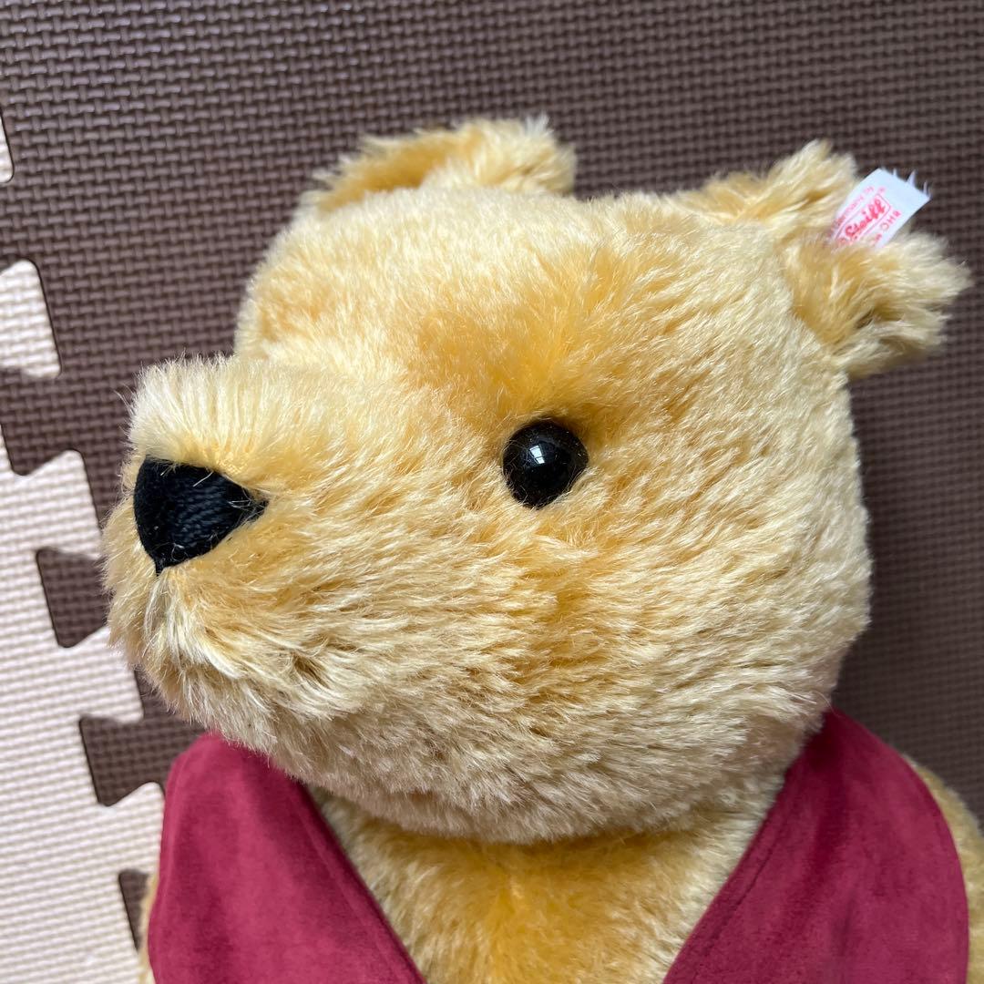 コスモス❣️
