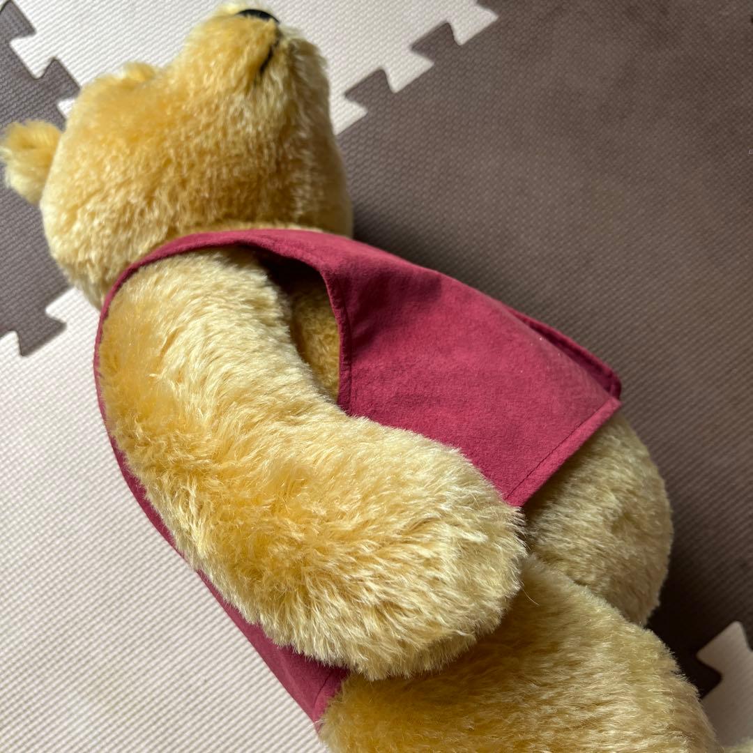 コスモス❣️