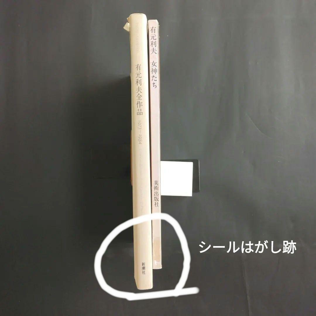 絶版 除籍本二冊組 有元利夫全作品 1973-1984 + 有元利夫 女神たち
