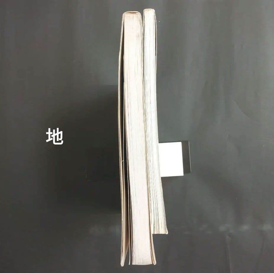 絶版 除籍本二冊組 有元利夫全作品 1973-1984 + 有元利夫 女神たち