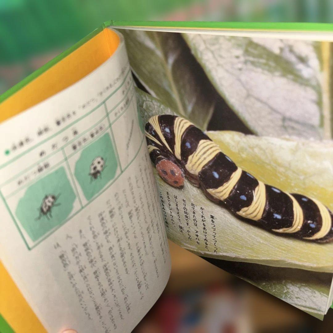 科学のアルバム 全巻セット103冊