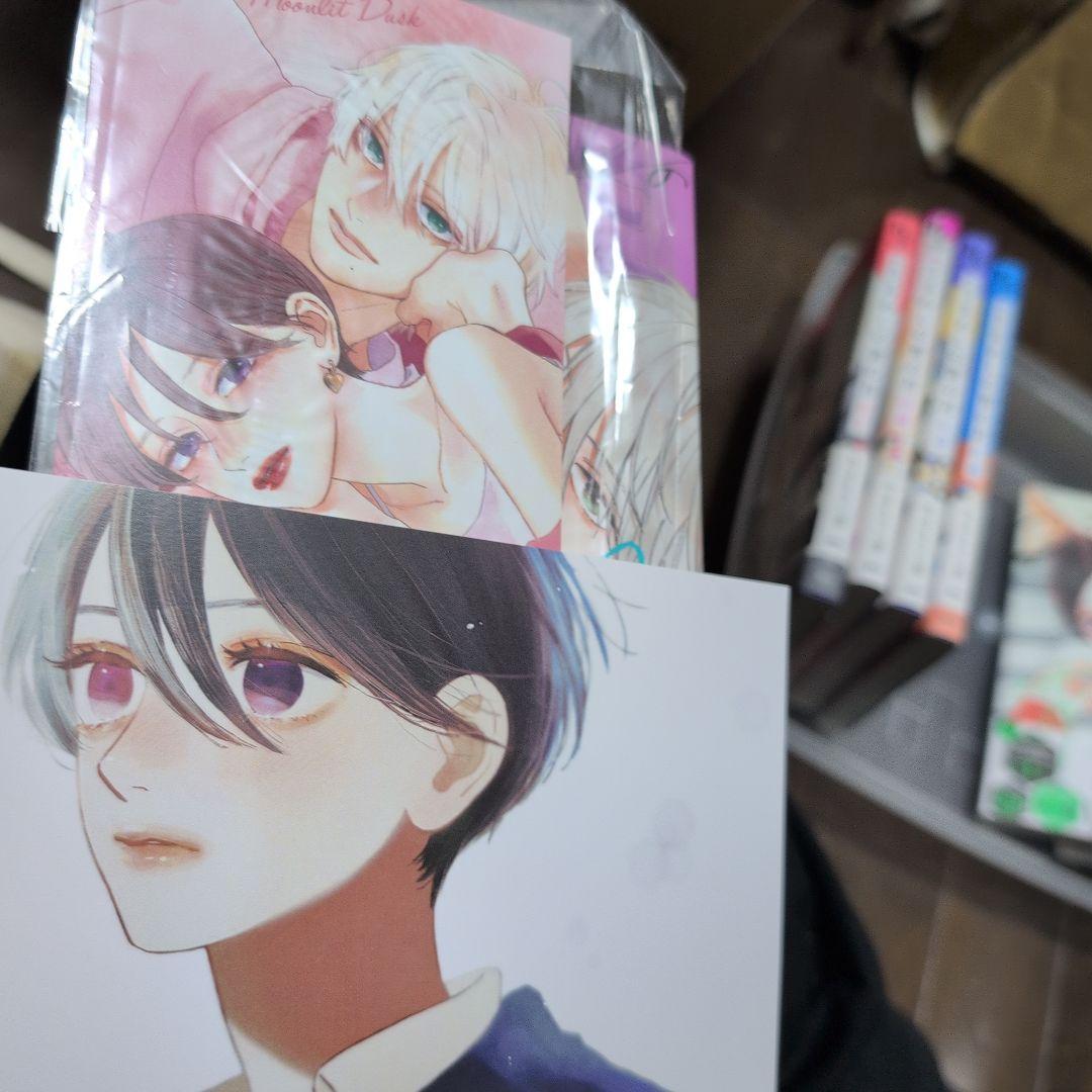 うるわしの宵の月 1-10
