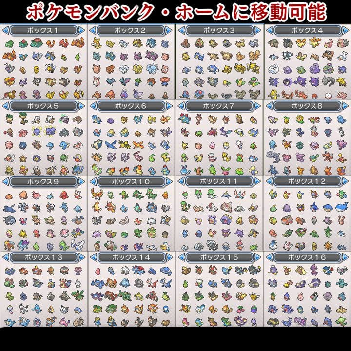 ポケットモンスター　ウルトラサン　3DS【ウルトラサンムーン】　ポケモン 008