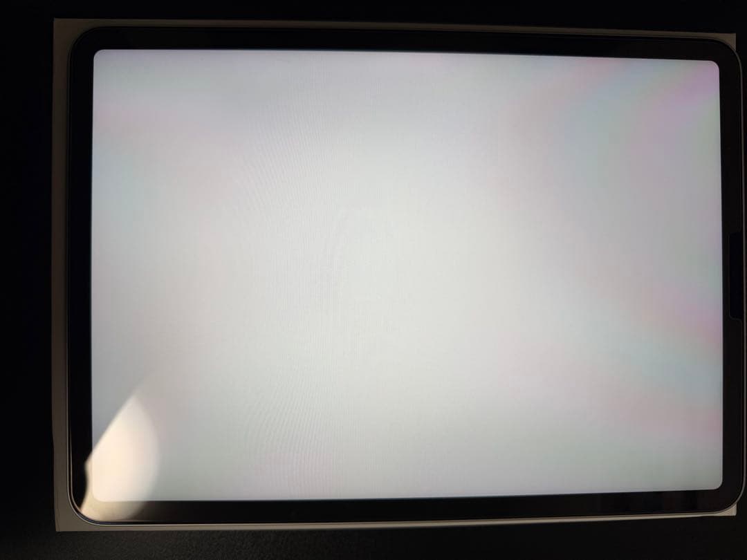 iPadPro11インチ 256
