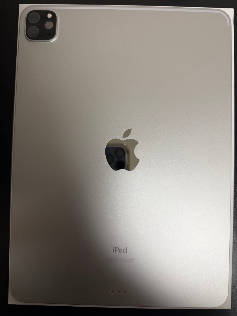 iPadPro11インチ 256