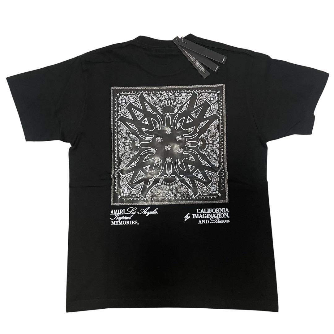 AMIRI グラフィックプリント Tシャツ