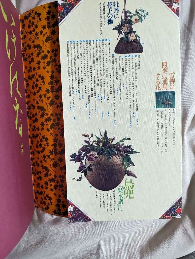 【レア】　四季にいける二一〇の秘訣