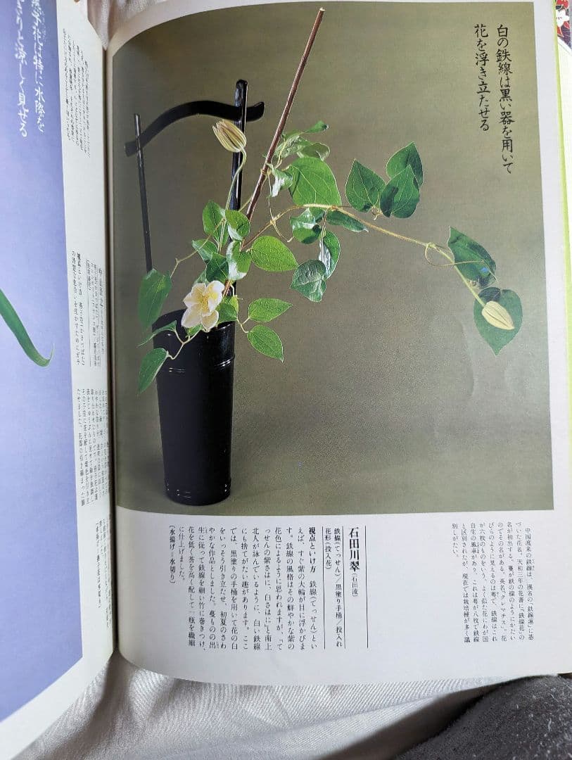 【レア】　四季にいける二一〇の秘訣