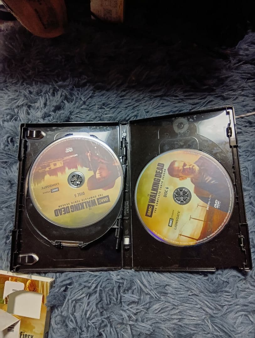 洋画・外国映画 The Walking Dead: The Tenth Season