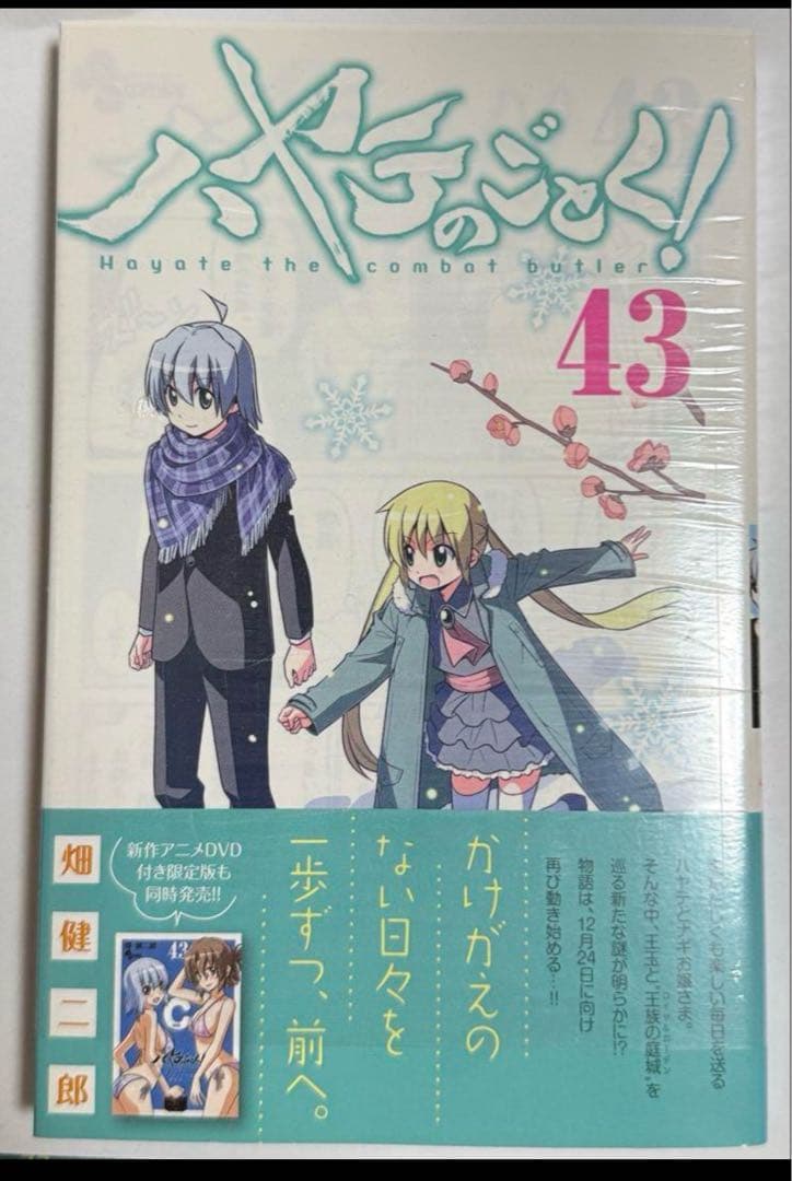 ハヤテのごとく！全巻セット限定版・貴重な品全て売ります