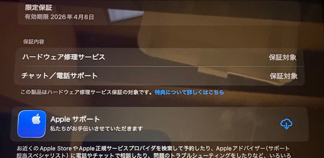 iPad A16 256GB シルバー