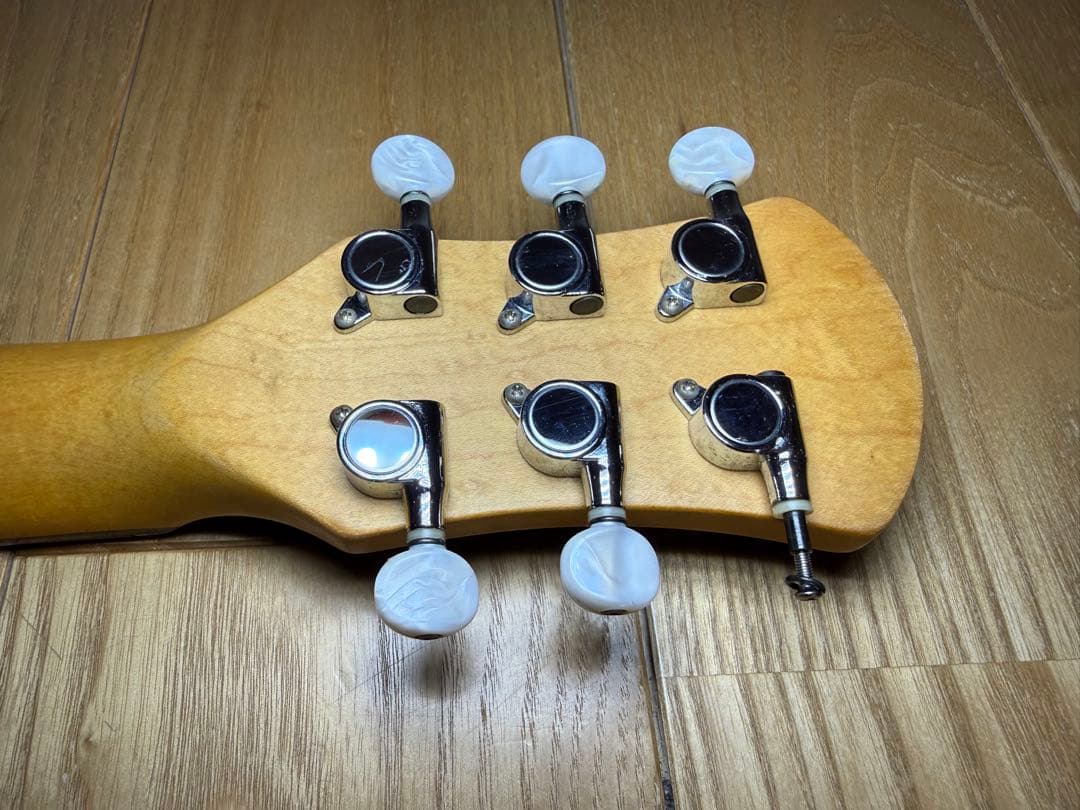 ピグノーズ 楽器 アンプ内蔵ミニギター　Pignose