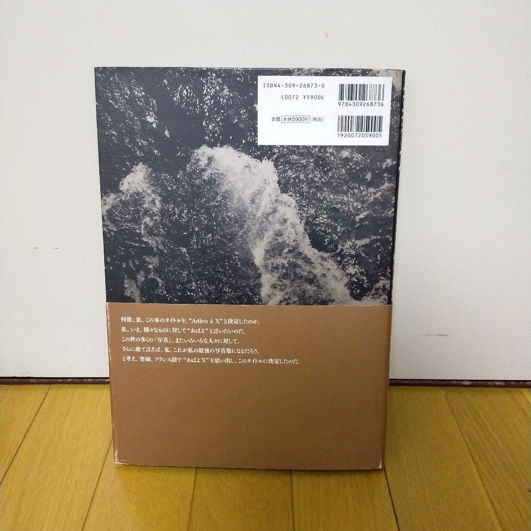 中平卓馬　Adieu a X