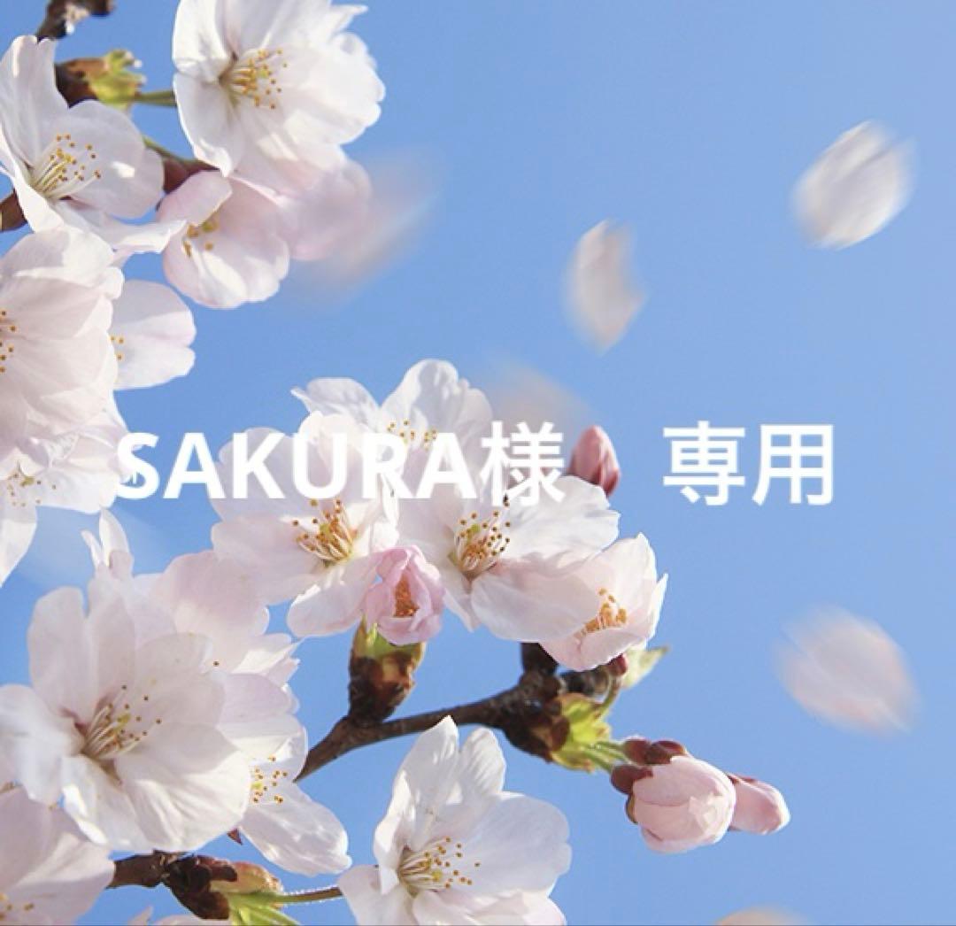 SAKURA　25日発送予定