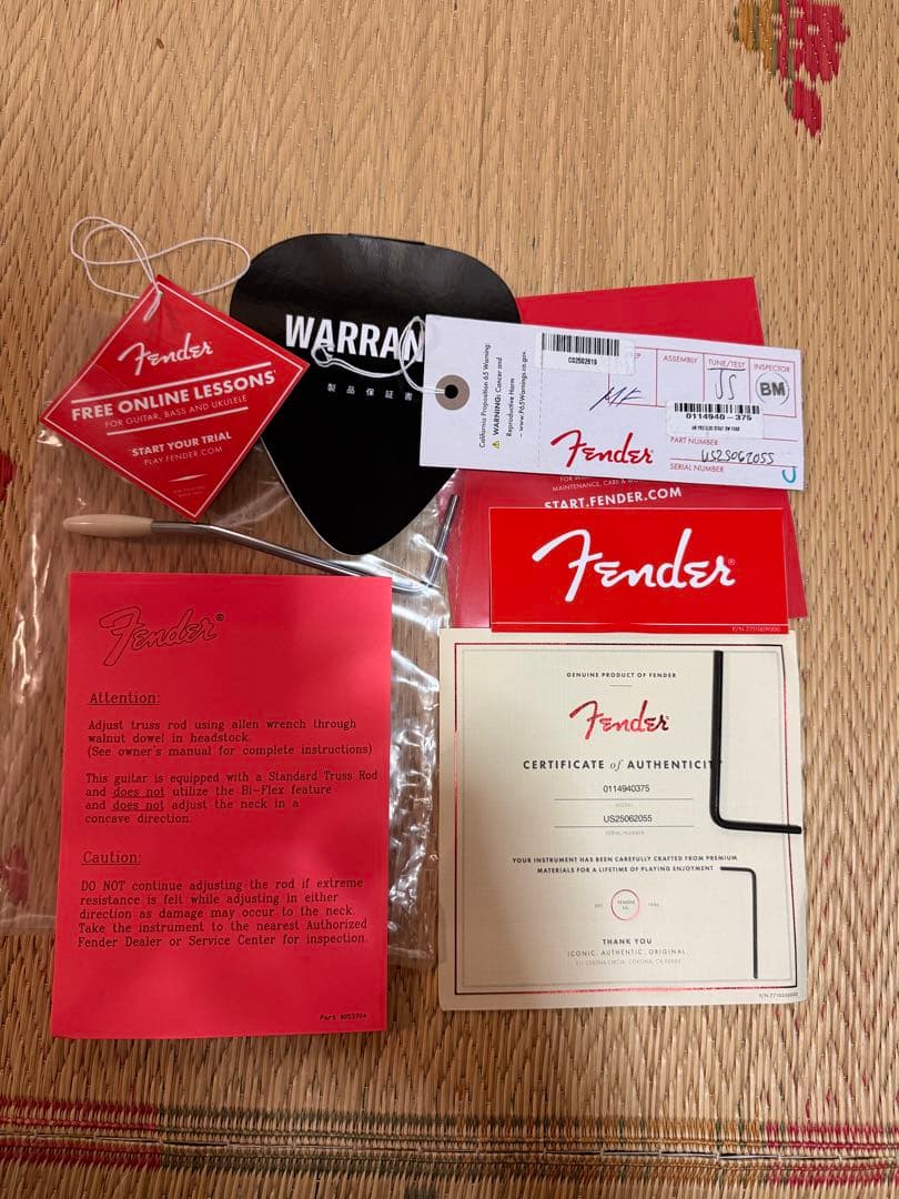 ギター Fender American Professional Classic