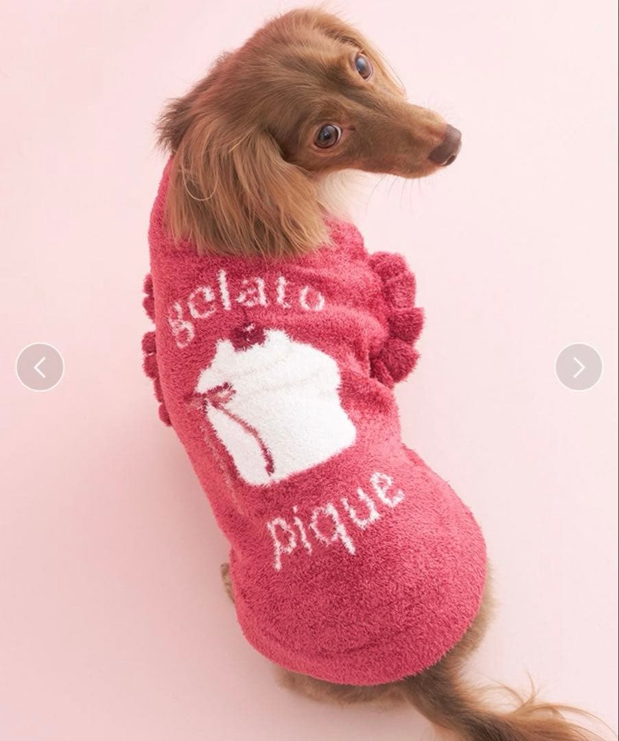 ジェラートピケ犬服★ケーキ柄2枚セットS★ジェラピケcat&dog スムーズィー