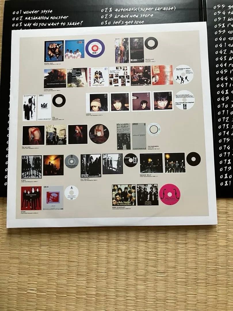 ミッシェルガンエレファント　106 TMGE アナログ　レコード