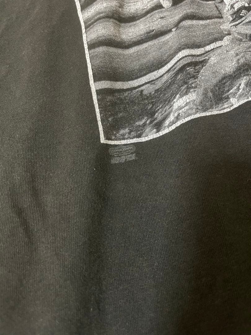 90's Hanes \"BEASTIE BOYS\" Tシャツ USA製
