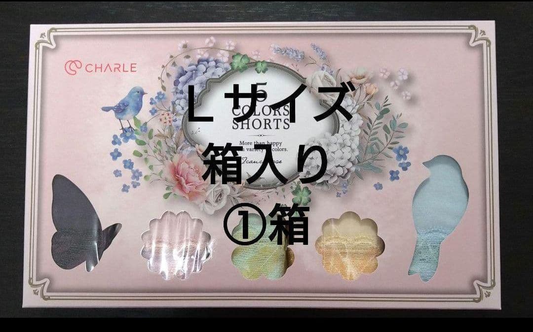 レッグウェア bucchi