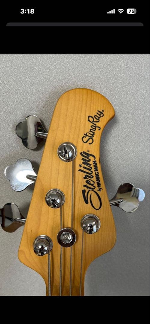 Sterling StingRay エレキベース　（保証書あり）