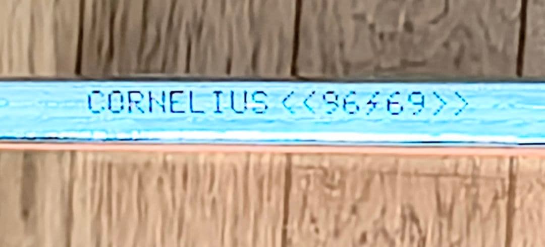 『希少』Cornelius 96/96 地球あやうし 2枚組 LPレコード