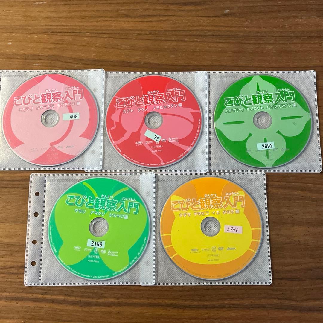 こびと観察入門 DVD 5枚セット