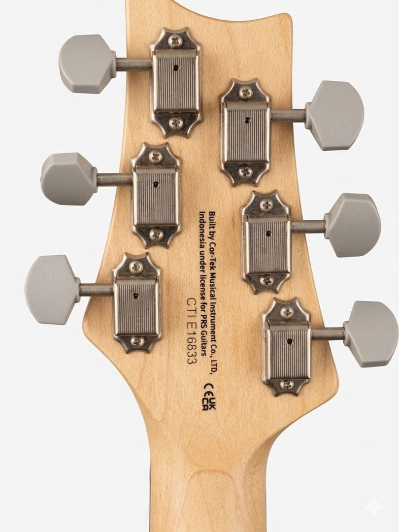 【廃盤希少色】PRS SE Silver Sky / Stone Blue