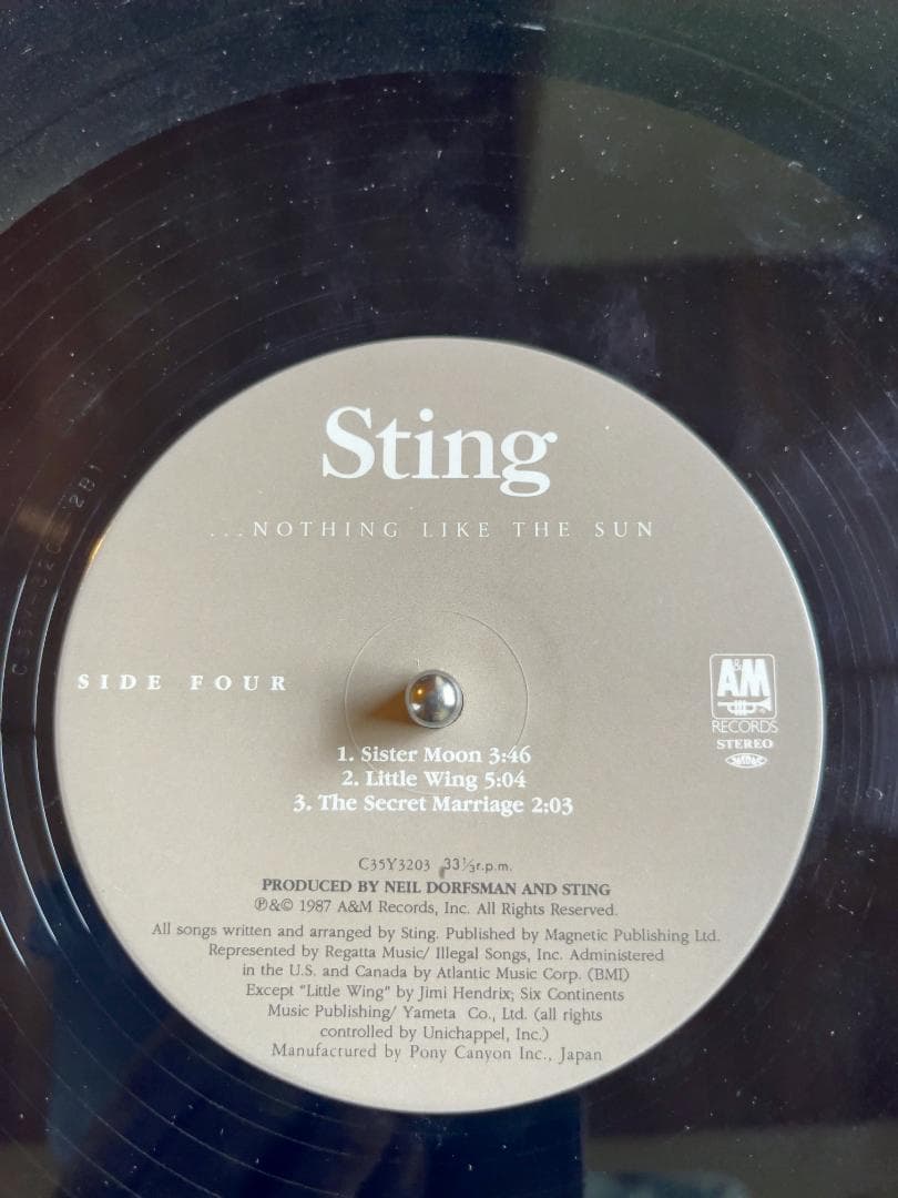 Sting Nothing Like The Sun レコード