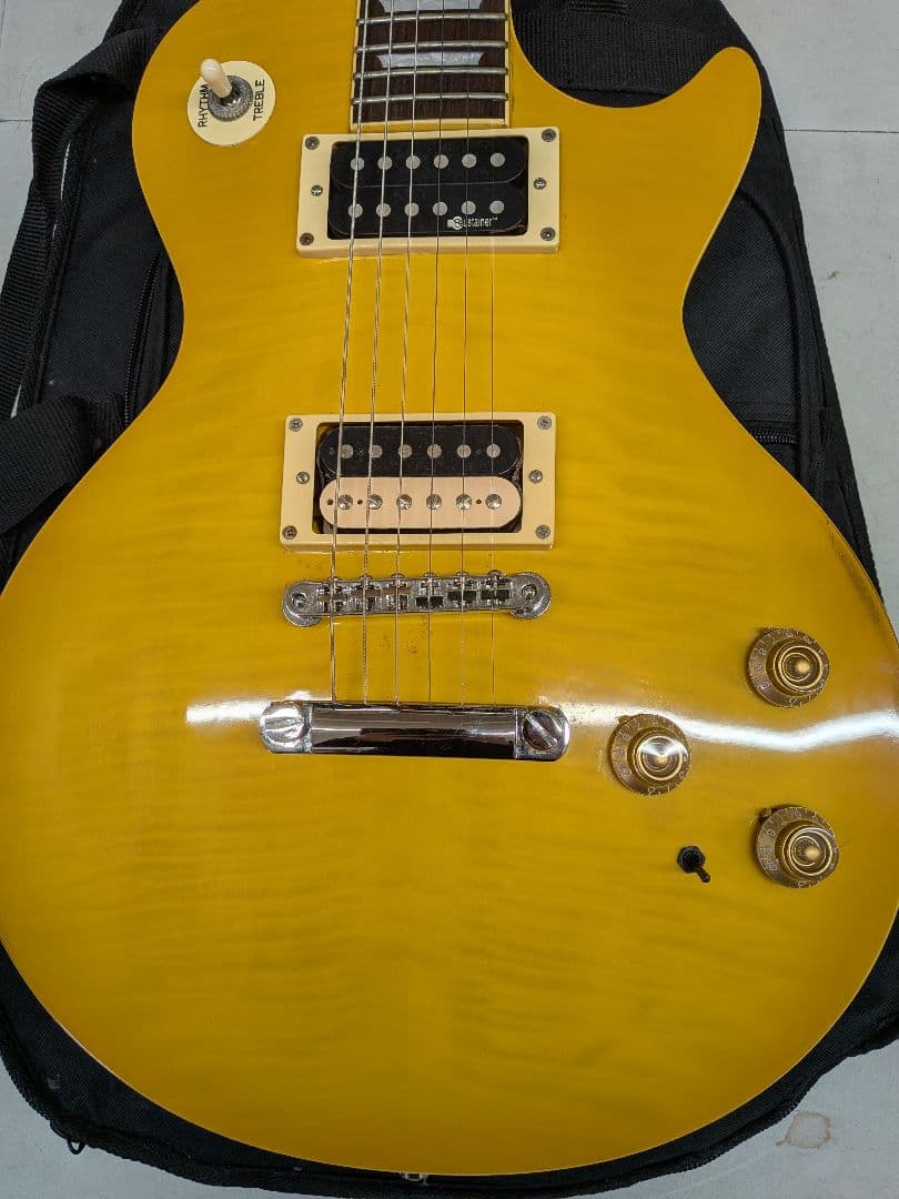 FERNANDES サスティナー搭載 BURNY レスポール ソフトケース付