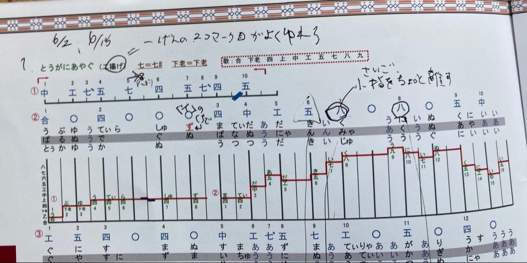 沖縄三線 ヘビ皮 3弦 手作り　ケース付き バチ付き 教室購入品