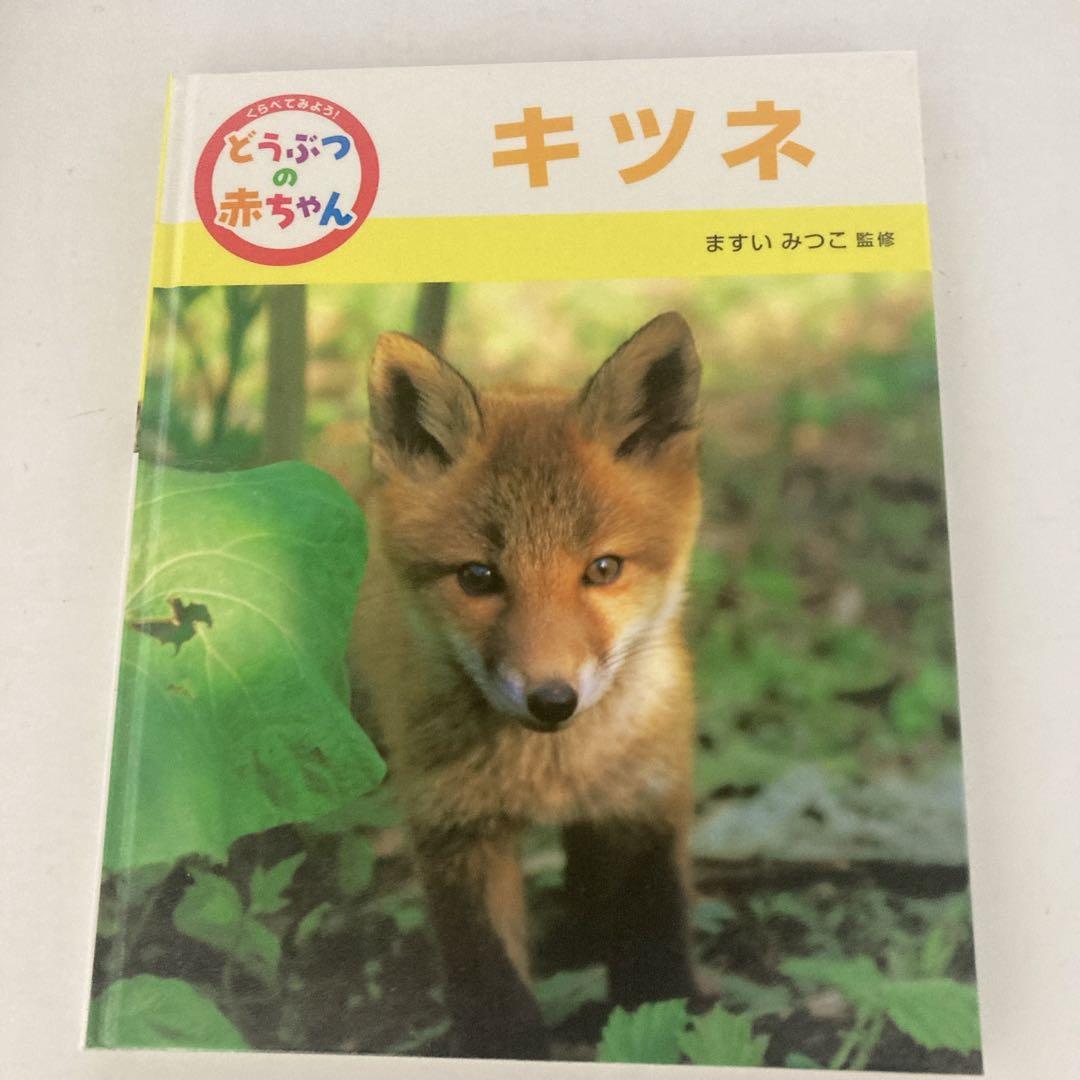 くらべてみよう！ どうぶつの赤ちゃん ますいみつこ ポプラ社 絵本