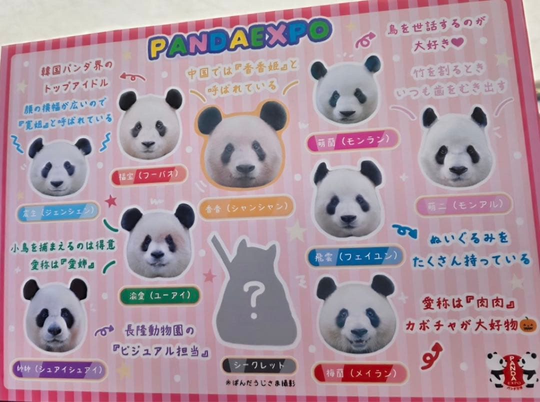 中節祭 上野 パンダ キーホルダー ガチャ シャンシャン ミニ図鑑 春節祭
