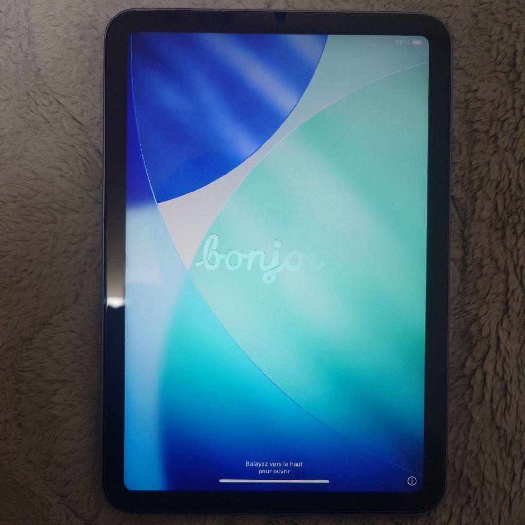 Apple iPad mini 本体 + Apple Pencil + ケース