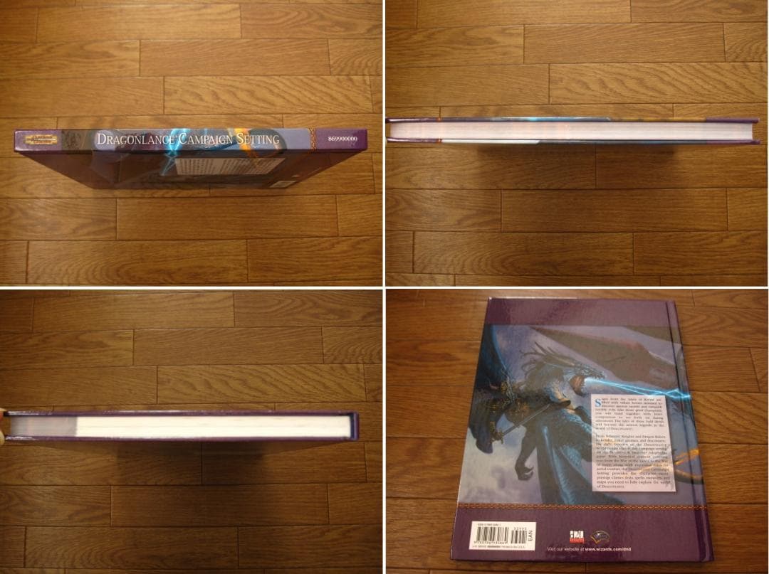 Dragon Lance Dungeons ＆ Dragons Campaign