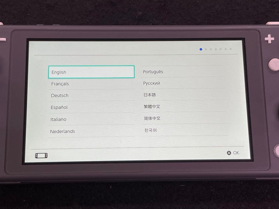 Nintendo Switch Lite 本体 ソフトカバー + ソフト付き