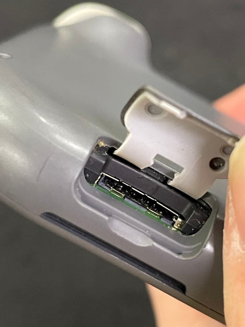 Nintendo Switch Lite 本体 ソフトカバー + ソフト付き