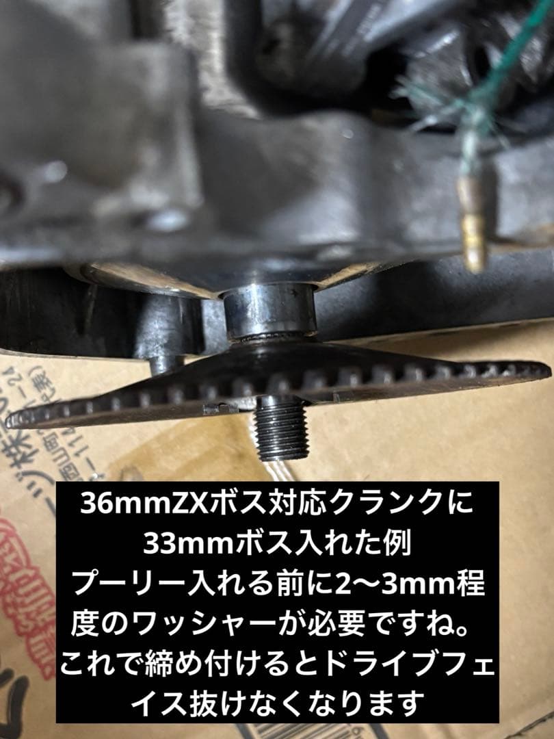 ゆきたん。