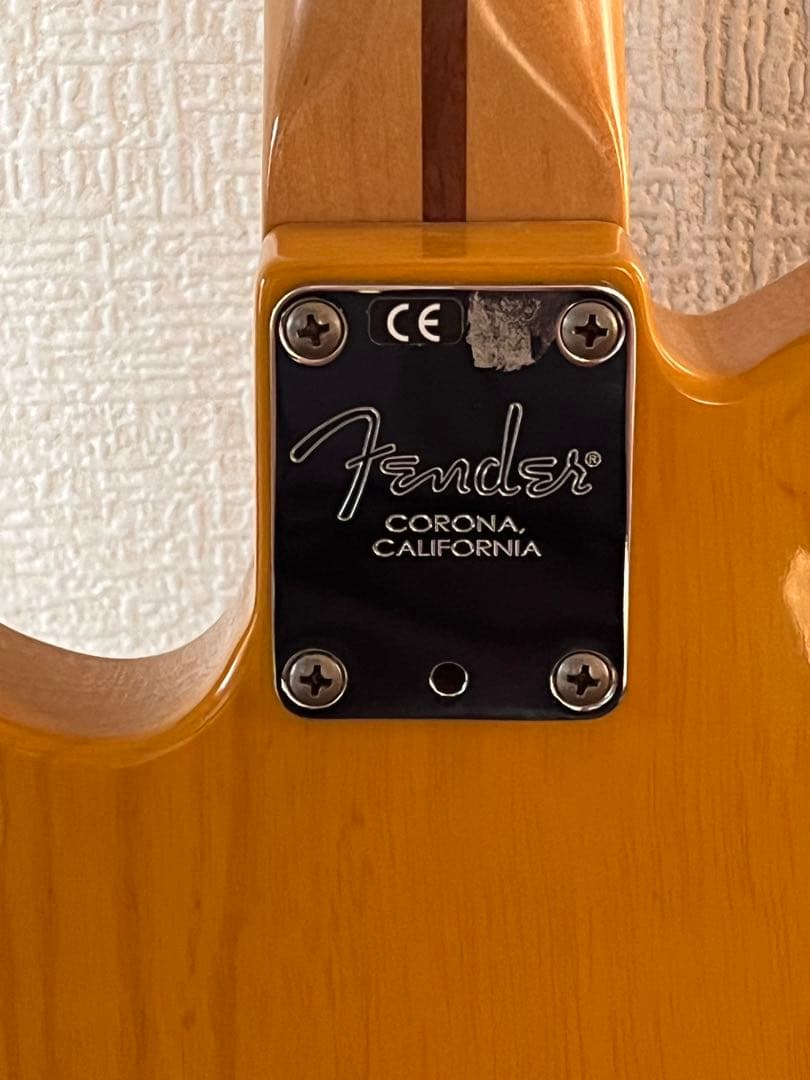 ギター Fender American Professional Telecaster