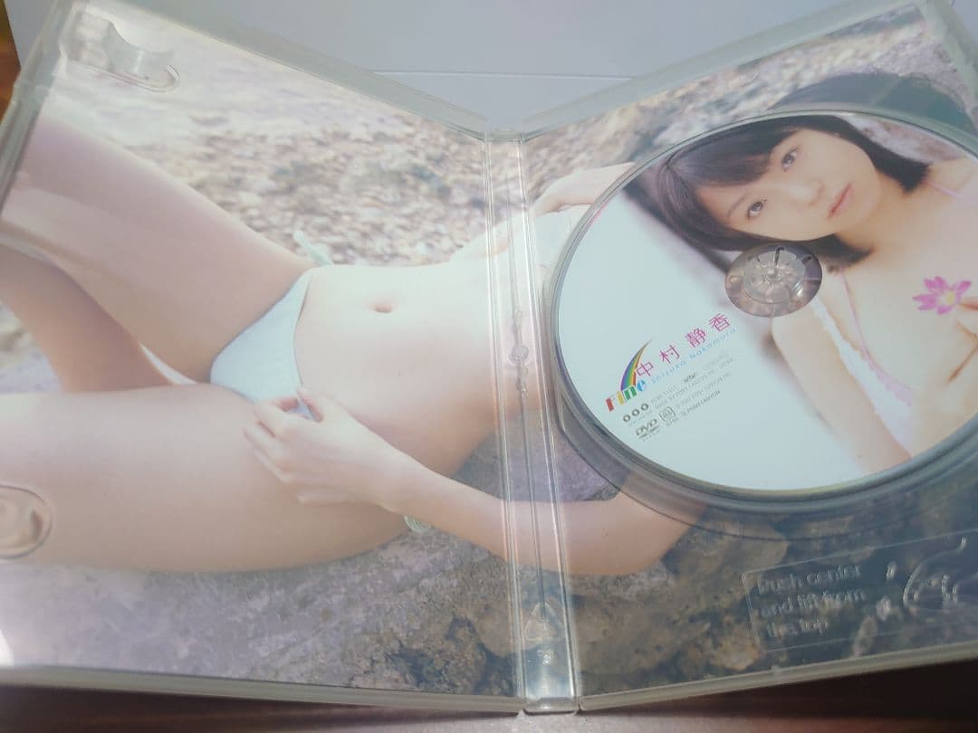 中村静香/Fine